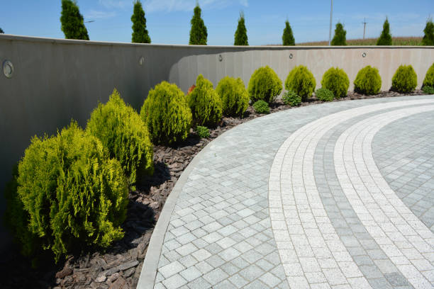 Best Driveway Pavers Installation  in Seneca, MO